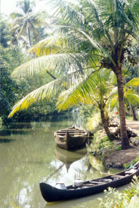Backwaters Kerala