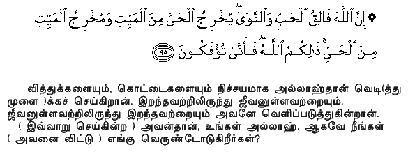 It is Allah Who causeth the seed-grain and the date-stone to split and sprout. He causeth the living to issue from the dead, and He is the one to cause the dead to issue from the living. That is Allah: then how are ye deluded away from the truth? Holy Quran - 6:95